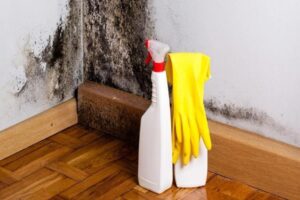10 Things You Need to Know About Using Bleach To Kill Mould