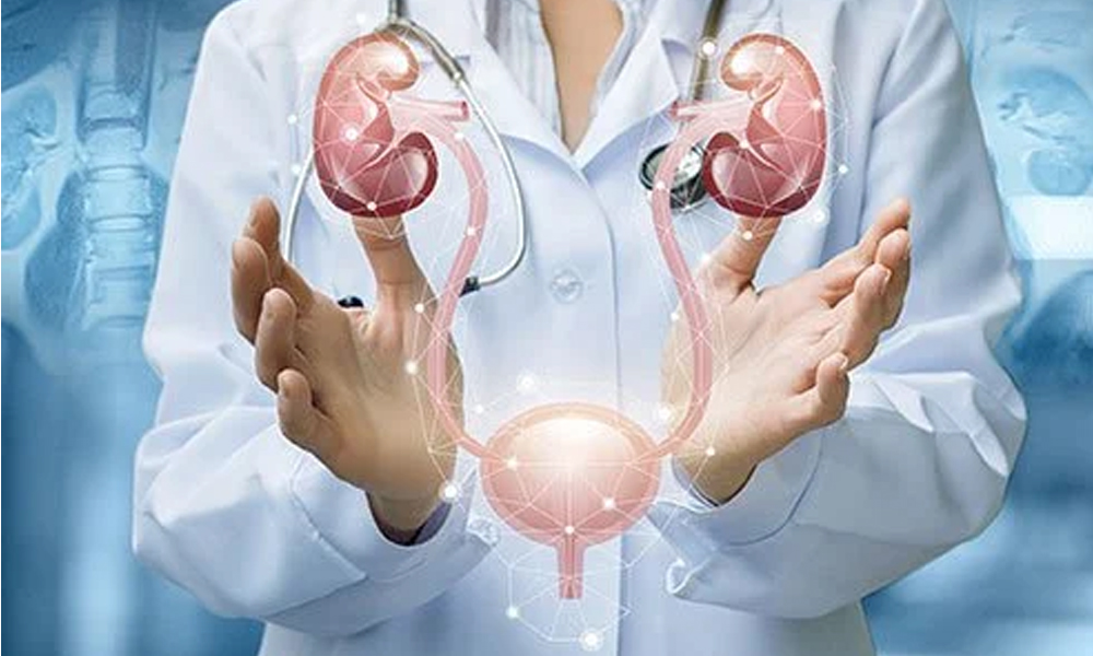 Preventative Measures In Urology: A Urologist’s Advice Urology